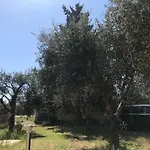 Relax Tatil Evi